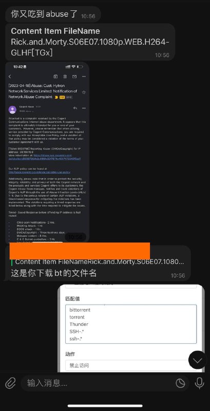 得，又一个Abuse，你们就不能不拿节点下BT嘛…开了审计都防不了你们，真行